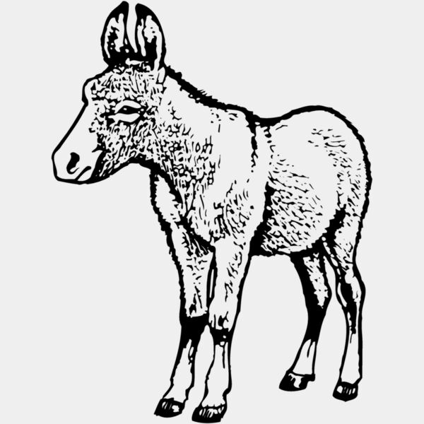BURRO009 Thumbnail